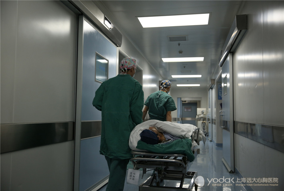 那么，每一天里，在手术室里都在发生着什么呢？