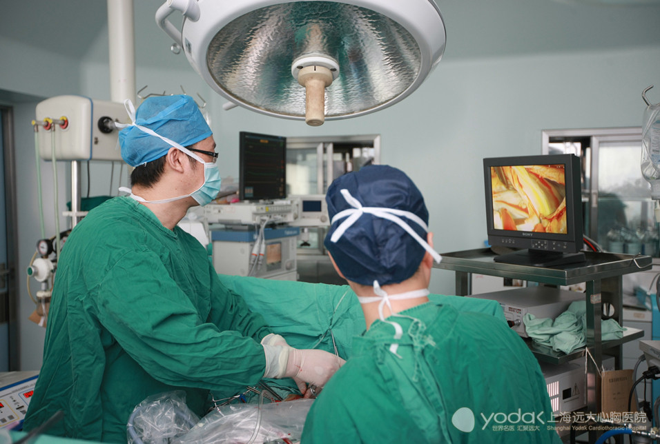 标一台治疗心脏瓣膜病的胸腔镜下瓣膜成形术